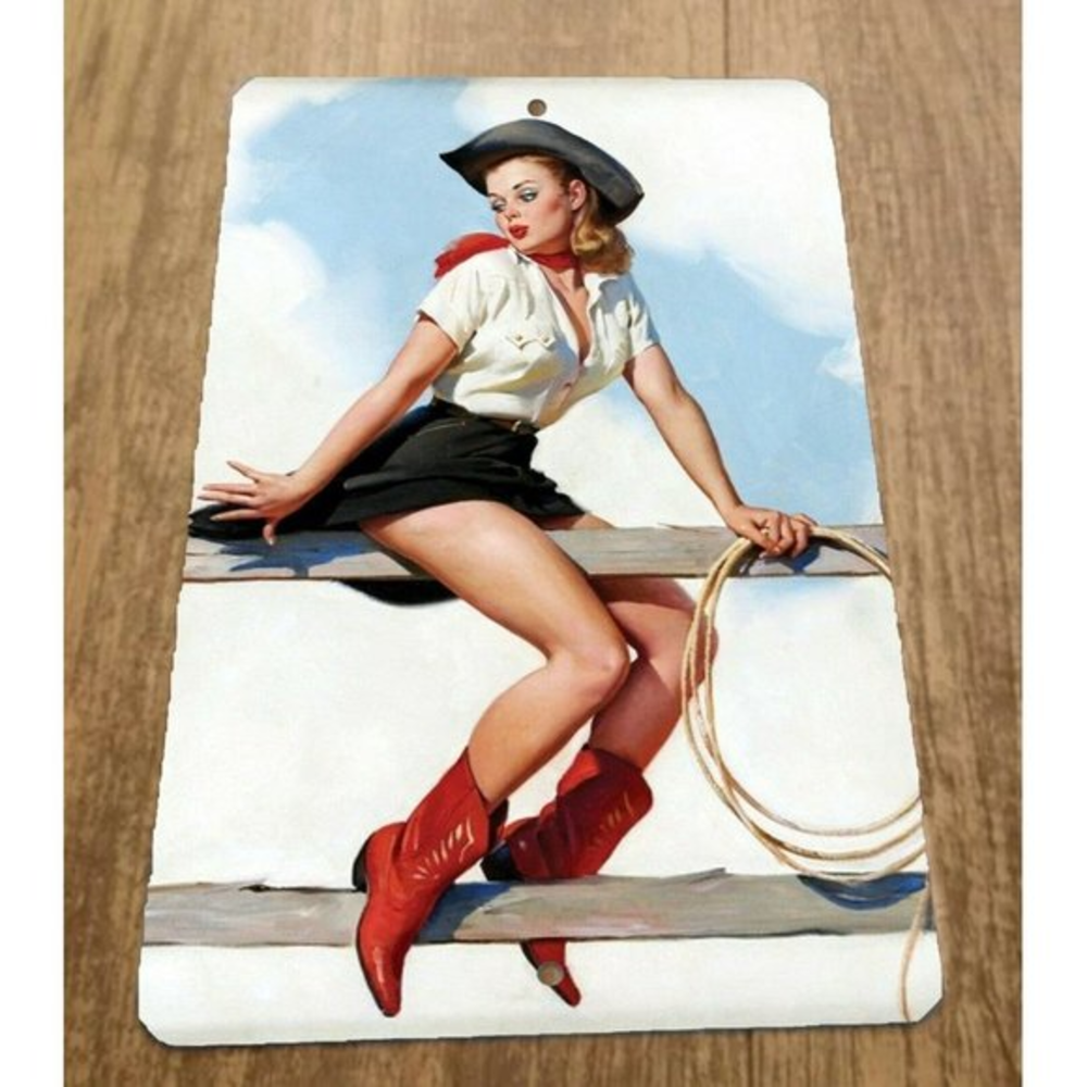 Cowgirl Sitting on Fence with Lasso Art 8x12 Metal Wall Vintage Misc Poster Sign